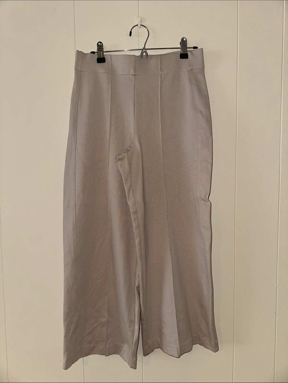 Tan Wide-Leg Dress Pants NWOT!